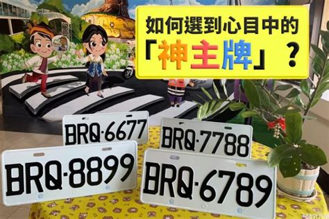 如何挑選車牌|選車牌怎麼選？分為標牌、選號、順編三種方式